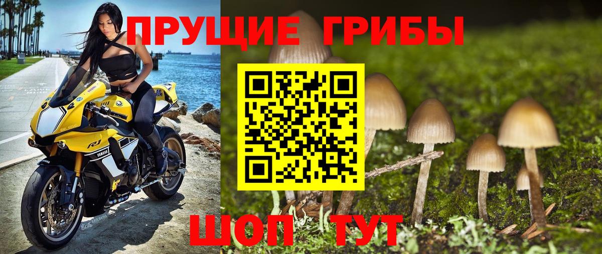 Галлюциногенные грибы GOLDEN TEACHER Тамбов