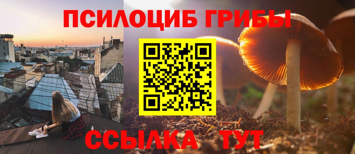 Тамбов  Псилоцибиновые грибы Psilocybe  Вход с VPN 
